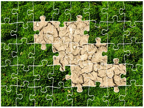 Green Jigsaw1.jpg